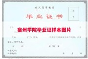宿州学院毕业证样本图片