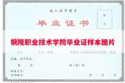 铜陵职业技术学院毕业证样本图片