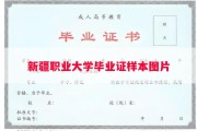 新疆职业大学毕业证样本图片