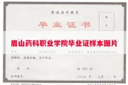 眉山药科职业学院毕业证样本图片