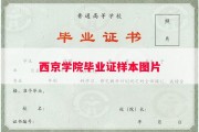 西京学院毕业证样本图片
