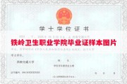 铁岭卫生职业学院毕业证样本图片
