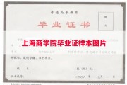 上海商学院毕业证样本图片