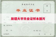 新疆大学毕业证样本图片