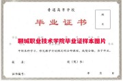 聊城职业技术学院毕业证样本图片