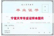 宁夏大学毕业证样本图片
