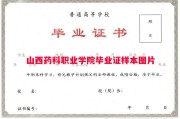 山西药科职业学院毕业证样本图片