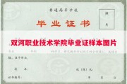 双河职业技术学院毕业证样本图片