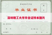 深圳理工大学毕业证样本图片