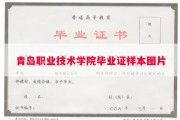 青岛职业技术学院毕业证样本图片
