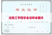 沈阳工学院毕业证样本图片