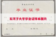石河子大学毕业证样本图片