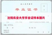 沈阳农业大学毕业证样本图片