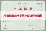 宁德职业技术学院毕业证样本图片
