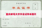 重庆邮电大学毕业证样本图片