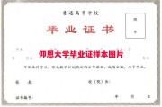 仰恩大学毕业证样本图片