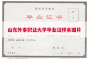 山东外事职业大学毕业证样本图片