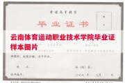 云南体育运动职业技术学院毕业证样本图片