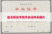 临沂职业学院毕业证样本图片