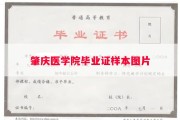 肇庆医学院毕业证样本图片