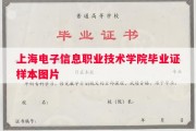 上海电子信息职业技术学院毕业证样本图片