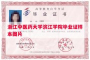 浙江中医药大学滨江学院毕业证样本图片