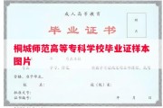 桐城师范高等专科学校毕业证样本图片