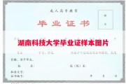 湖南科技大学毕业证样本图片