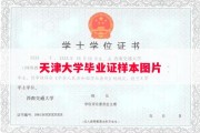 天津大学毕业证样本图片