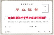 文山职业技术学院毕业证样本图片