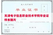 天津电子信息职业技术学院毕业证样本图片