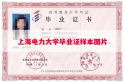 上海电力大学毕业证样本图片