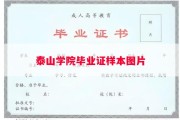 泰山学院毕业证样本图片