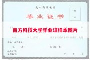 南方科技大学毕业证样本图片