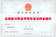 云南新兴职业学院毕业证样本图片