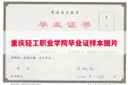 重庆轻工职业学院毕业证样本图片