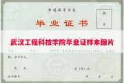 武汉工程科技学院毕业证样本图片