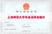 上海师范大学毕业证样本图片