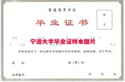 宁波大学毕业证样本图片