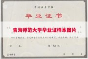 青海师范大学毕业证样本图片