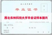 西北农林科技大学毕业证样本图片