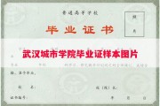 武汉城市学院毕业证样本图片