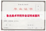 鲁迅美术学院毕业证样本图片