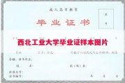 西北工业大学毕业证样本图片