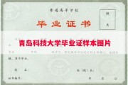 青岛科技大学毕业证样本图片