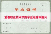 宜春职业技术学院毕业证样本图片