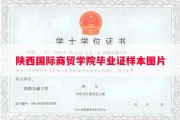 陕西国际商贸学院毕业证样本图片