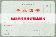 信阳学院毕业证样本图片
