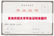 青海开放大学毕业证样本图片