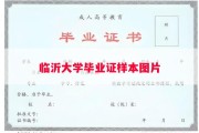临沂大学毕业证样本图片